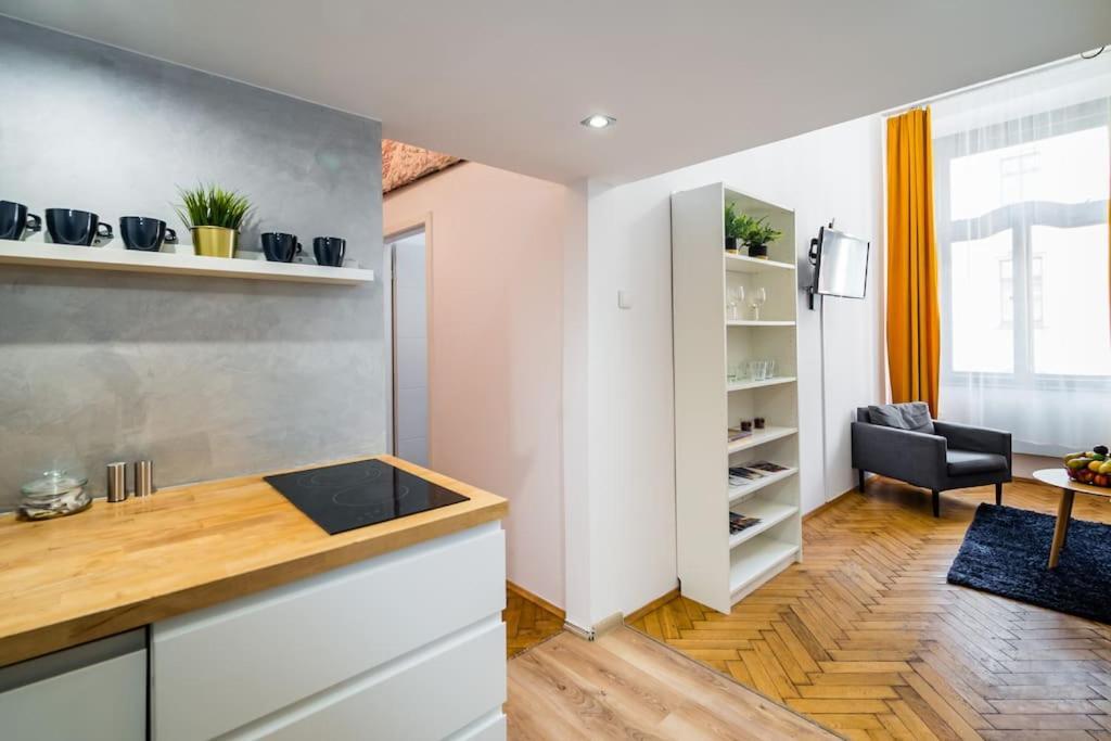 Royal City Apartment 40 M2 Krakau Exterior foto